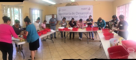 Taller de hidroponía - Foto 1