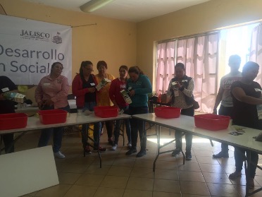 Taller de hidroponía - Foto 2