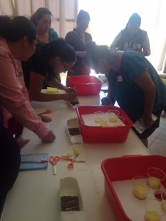 Taller de hidroponía - Foto 3