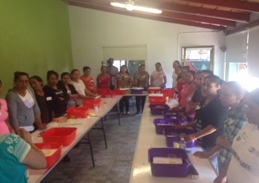 Taller de hidroponía - Foto 4